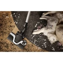 Brandneu ✨ Rowenta RO7690 Silence Force Cyclonic Animal | Beutelloser Staubsauger | Vacuum-Cleaner | Sehr Leise | 2,5L Staubvolumen | Tierhaare | Auto | Schwarz/Blau ✔️ -Rowenta Verkäufe unnamed file 1096