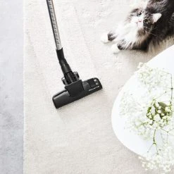 Brandneu ⌛ Rowenta Power XXL RO312, 450 W, Zylinder-Vakuum, Trocken, Staubbeutel, 4,5 L, Schaum, Hygienefilter 😀 -Rowenta Verkäufe unnamed file 134