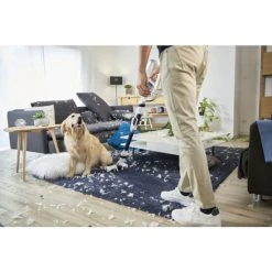 Budget 🛒 Rowenta RH9474, Trocken, Zyklonal, 82 DB, Beutellos, Orange, Weiß, Tätigkeit ⌛ -Rowenta Verkäufe unnamed file 1547