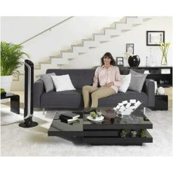 Auslauf ⌛ Rowenta Eole Infinite VU6620, Standventilator 40 W, Schwarz ✔️ -Rowenta Verkäufe unnamed file 1976