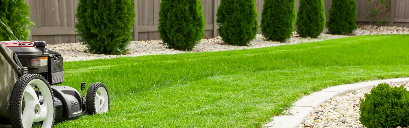 Rowenta Verkäufe 25 Rowenta Verkäufe -Rowenta Verkäufe